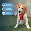 image:imageBest Pet Supplies Voyager Stepin Air All Weather Mesh Harness and Reflective Dog 5 ft Leash Combo with Neoprene Handle for Small Medium and Large Breed Puppies  Set Black SHarness Leash Bundle OrangeBlack Trim