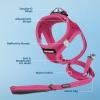 image:imageBest Pet Supplies Voyager Stepin Air All Weather Mesh Harness and Reflective Dog 5 ft Leash Combo with Neoprene Handle for Small Medium and Large Breed Puppies  Set Black SHarness Leash Set Fuchsia