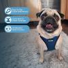 image:imageBest Pet Supplies Voyager Stepin Air All Weather Mesh Harness and Reflective Dog 5 ft Leash Combo with Neoprene Handle for Small Medium and Large Breed Puppies  Set Black SHarness Leash Bundle BlueBlack Trim