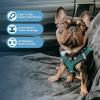 image:imageBest Pet Supplies Voyager Stepin Air All Weather Mesh Harness and Reflective Dog 5 ft Leash Combo with Neoprene Handle for Small Medium and Large Breed Puppies  Set Black SHarness Leash Bundle Turquoise 2Tone