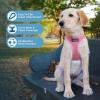 image:imageBest Pet Supplies Voyager Stepin Air All Weather Mesh Harness and Reflective Dog 5 ft Leash Combo with Neoprene Handle for Small Medium and Large Breed Puppies  Set Black SHarness Leash Set Pink