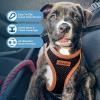 image:imageBest Pet Supplies Voyager Stepin Air All Weather Mesh Harness and Reflective Dog 5 ft Leash Combo with Neoprene Handle for Small Medium and Large Breed Puppies  Set Black SHarness Leash Bundle BlackOrange Trim