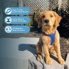 image:imageBest Pet Supplies Voyager Stepin Air All Weather Mesh Harness and Reflective Dog 5 ft Leash Combo with Neoprene Handle for Small Medium and Large Breed Puppies  Set Black SHarness Leash Set Royal Blue