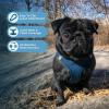 image:imageBest Pet Supplies Voyager Stepin Air All Weather Mesh Harness and Reflective Dog 5 ft Leash Combo with Neoprene Handle for Small Medium and Large Breed Puppies  Set Black SHarness Leash Set Blue