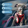 image:imageBest Pet Supplies Voyager Stepin Air All Weather Mesh Harness and Reflective Dog 5 ft Leash Combo with Neoprene Handle for Small Medium and Large Breed Puppies  Set Black SHarness Leash Bundle BlackRed Trim