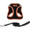 Harness Leash Bundle (Black/Orange Trim)