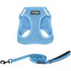 Harness Leash Set (Baby Blue)