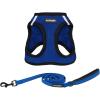 Harness Leash Bundle (Royal Blue/Black Trim)