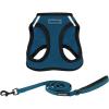 Harness Leash Bundle (Blue/Black Trim)