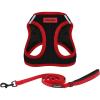 Harness Leash Bundle (Black/Red Trim)