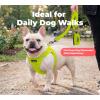 image:imageBest Pet Supplies Voyager Reflective Dog Leash or Collar with Neoprene Handle for Small Medium and Large Breed Puppies Cute and Heavy Duty for Walking Running and Training  Moss Green Leash SLeash Lime Green