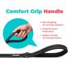 image:imageBest Pet Supplies Voyager Reflective Dog Leash or Collar with Neoprene Handle for Small Medium and Large Breed Puppies Cute and Heavy Duty for Walking Running and Training  Moss Green Leash SLeash Black