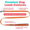 image:imageBest Pet Supplies Voyager Reflective Dog Leash or Collar with Neoprene Handle for Small Medium and Large Breed Puppies Cute and Heavy Duty for Walking Running and Training  Moss Green Leash SLeash Orange