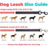 image:imageBest Pet Supplies Voyager Reflective Dog Leash or Collar with Neoprene Handle for Small Medium and Large Breed Puppies Cute and Heavy Duty for Walking Running and Training  Moss Green Leash SLeash Black