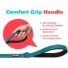 image:imageBest Pet Supplies Voyager Reflective Dog Leash or Collar with Neoprene Handle for Small Medium and Large Breed Puppies Cute and Heavy Duty for Walking Running and Training  Moss Green Leash SLeash Turquoise
