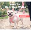 image:imageBest Pet Supplies Voyager Reflective Dog Leash or Collar with Neoprene Handle for Small Medium and Large Breed Puppies Cute and Heavy Duty for Walking Running and Training  Moss Green Leash SLeash Soft Pink