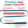 image:imageBest Pet Supplies Voyager Reflective Dog Leash or Collar with Neoprene Handle for Small Medium and Large Breed Puppies Cute and Heavy Duty for Walking Running and Training  Moss Green Leash SLeash Turquoise