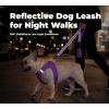 image:imageBest Pet Supplies Voyager Reflective Dog Leash or Collar with Neoprene Handle for Small Medium and Large Breed Puppies Cute and Heavy Duty for Walking Running and Training  Moss Green Leash SLeash Purple