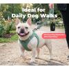 image:imageBest Pet Supplies Voyager Reflective Dog Leash or Collar with Neoprene Handle for Small Medium and Large Breed Puppies Cute and Heavy Duty for Walking Running and Training  Moss Green Leash SLeash Moss Green