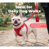 image:imageBest Pet Supplies Voyager Reflective Dog Leash or Collar with Neoprene Handle for Small Medium and Large Breed Puppies Cute and Heavy Duty for Walking Running and Training  Moss Green Leash SLeash Red