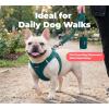 image:imageBest Pet Supplies Voyager Reflective Dog Leash or Collar with Neoprene Handle for Small Medium and Large Breed Puppies Cute and Heavy Duty for Walking Running and Training  Moss Green Leash SLeash Blue