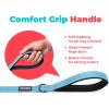 image:imageBest Pet Supplies Voyager Reflective Dog Leash or Collar with Neoprene Handle for Small Medium and Large Breed Puppies Cute and Heavy Duty for Walking Running and Training  Moss Green Leash SLeash Baby Blue