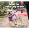 image:imageBest Pet Supplies Voyager Reflective Dog Leash or Collar with Neoprene Handle for Small Medium and Large Breed Puppies Cute and Heavy Duty for Walking Running and Training  Moss Green Leash SLeash Purple