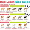 image:imageBest Pet Supplies Voyager Reflective Dog Leash or Collar with Neoprene Handle for Small Medium and Large Breed Puppies Cute and Heavy Duty for Walking Running and Training  Moss Green Leash SLeash Lime Green