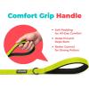 image:imageBest Pet Supplies Voyager Reflective Dog Leash or Collar with Neoprene Handle for Small Medium and Large Breed Puppies Cute and Heavy Duty for Walking Running and Training  Moss Green Leash SLeash Lime Green