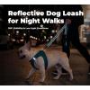 image:imageBest Pet Supplies Voyager Reflective Dog Leash or Collar with Neoprene Handle for Small Medium and Large Breed Puppies Cute and Heavy Duty for Walking Running and Training  Moss Green Leash SLeash Blue