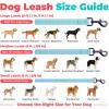 image:imageBest Pet Supplies Voyager Reflective Dog Leash or Collar with Neoprene Handle for Small Medium and Large Breed Puppies Cute and Heavy Duty for Walking Running and Training  Moss Green Leash SLeash Baby Blue