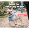 image:imageBest Pet Supplies Voyager Reflective Dog Leash or Collar with Neoprene Handle for Small Medium and Large Breed Puppies Cute and Heavy Duty for Walking Running and Training  Moss Green Leash SLeash Baby Blue