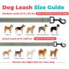 image:imageBest Pet Supplies Voyager Reflective Dog Leash or Collar with Neoprene Handle for Small Medium and Large Breed Puppies Cute and Heavy Duty for Walking Running and Training  Moss Green Leash SLeash Moss Green