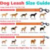 image:imageBest Pet Supplies Voyager Reflective Dog Leash or Collar with Neoprene Handle for Small Medium and Large Breed Puppies Cute and Heavy Duty for Walking Running and Training  Moss Green Leash SLeash Orange