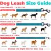 image:imageBest Pet Supplies Voyager Reflective Dog Leash or Collar with Neoprene Handle for Small Medium and Large Breed Puppies Cute and Heavy Duty for Walking Running and Training  Moss Green Leash SLeash Turquoise