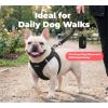 image:imageBest Pet Supplies Voyager Reflective Dog Leash or Collar with Neoprene Handle for Small Medium and Large Breed Puppies Cute and Heavy Duty for Walking Running and Training  Moss Green Leash SLeash Black