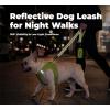 image:imageBest Pet Supplies Voyager Reflective Dog Leash or Collar with Neoprene Handle for Small Medium and Large Breed Puppies Cute and Heavy Duty for Walking Running and Training  Moss Green Leash SLeash Lime Green