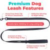 image:imageBest Pet Supplies Voyager Reflective Dog Leash or Collar with Neoprene Handle for Small Medium and Large Breed Puppies Cute and Heavy Duty for Walking Running and Training  Moss Green Leash SLeash Black