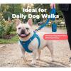 image:imageBest Pet Supplies Voyager Reflective Dog Leash or Collar with Neoprene Handle for Small Medium and Large Breed Puppies Cute and Heavy Duty for Walking Running and Training  Moss Green Leash SLeash Royal Blue