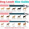 image:imageBest Pet Supplies Voyager Reflective Dog Leash or Collar with Neoprene Handle for Small Medium and Large Breed Puppies Cute and Heavy Duty for Walking Running and Training  Moss Green Leash SLeash Blue