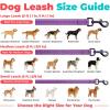 image:imageBest Pet Supplies Voyager Reflective Dog Leash or Collar with Neoprene Handle for Small Medium and Large Breed Puppies Cute and Heavy Duty for Walking Running and Training  Moss Green Leash SLeash Purple