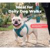 image:imageBest Pet Supplies Voyager Reflective Dog Leash or Collar with Neoprene Handle for Small Medium and Large Breed Puppies Cute and Heavy Duty for Walking Running and Training  Moss Green Leash SLeash Turquoise