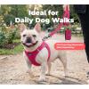 image:imageBest Pet Supplies Voyager Reflective Dog Leash or Collar with Neoprene Handle for Small Medium and Large Breed Puppies Cute and Heavy Duty for Walking Running and Training  Moss Green Leash SLeash Fuchsia