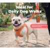 image:imageBest Pet Supplies Voyager Reflective Dog Leash or Collar with Neoprene Handle for Small Medium and Large Breed Puppies Cute and Heavy Duty for Walking Running and Training  Moss Green Leash SLeash Orange