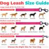 image:imageBest Pet Supplies Voyager Reflective Dog Leash or Collar with Neoprene Handle for Small Medium and Large Breed Puppies Cute and Heavy Duty for Walking Running and Training  Moss Green Leash SLeash Fuchsia