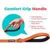 image:imageBest Pet Supplies Voyager Reflective Dog Leash or Collar with Neoprene Handle for Small Medium and Large Breed Puppies Cute and Heavy Duty for Walking Running and Training  Moss Green Leash SLeash Orange