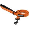 Leash (Orange)