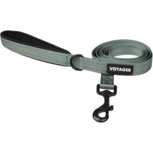 image:imageBest Pet Supplies Voyager Reflective Dog Leash or Collar with Neoprene Handle for Small Medium and Large Breed Puppies Cute and Heavy Duty for Walking Running and Training  Moss Green Leash SLeash Moss Green