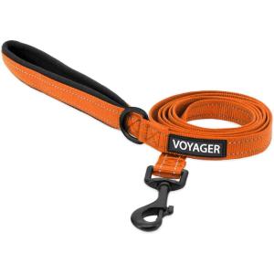 image:imageBest Pet Supplies Voyager Reflective Dog Leash or Collar with Neoprene Handle for Small Medium and Large Breed Puppies Cute and Heavy Duty for Walking Running and Training  Moss Green Leash SLeash Orange