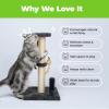 image:imageBest Pet Supplies Catify Cat Scratcher Fun Interactive Scratchers Posts Poles Claw Safe Furniture Saver Indoor Play Support Natural Cat Behaviors Heavy Duty  LShape Scratcher 165 x 114Scratching Post Gray